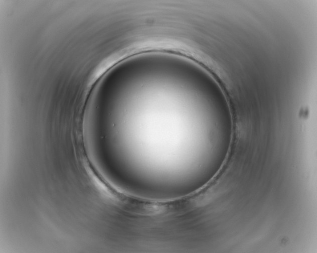 X0000092061521200709121344