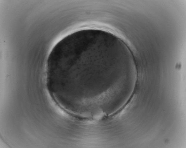 X0000092061522200709121344
