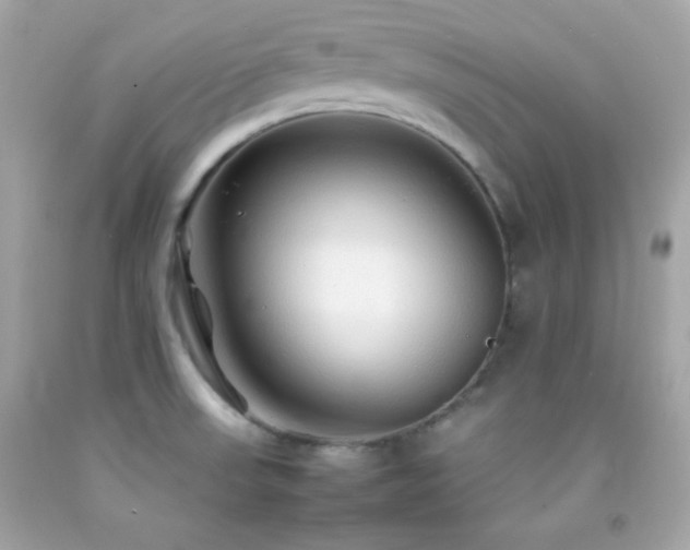 X0000092061523200709121344