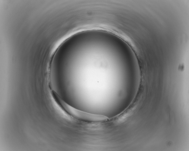 X0000092061524200709121344