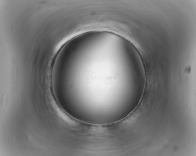 X0000092061526200709121344