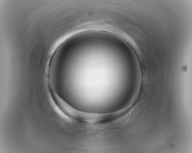 X0000092061528200709121344