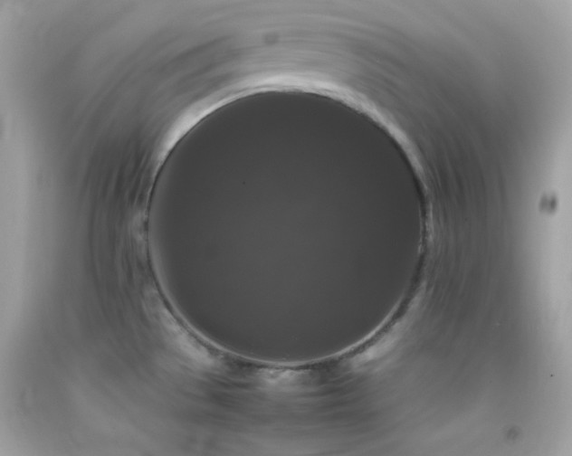 X0000092061529200709121344