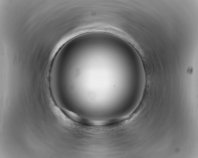 X0000092061530200709121344