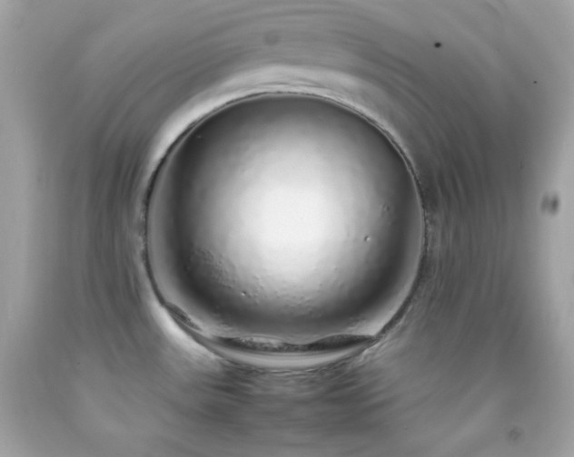 X0000092061531200709121344