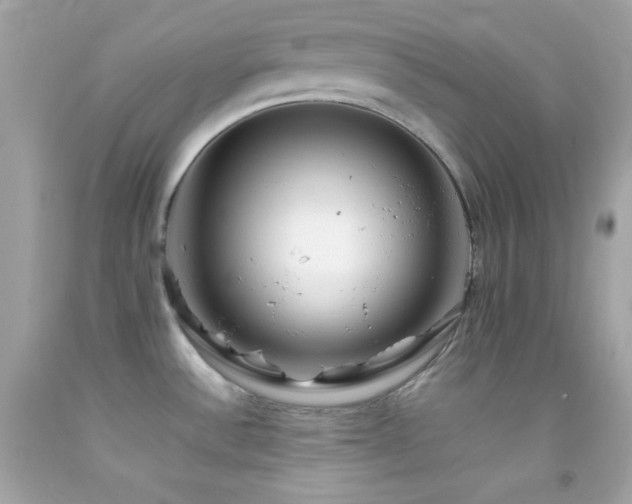 X0000092061532200709121345