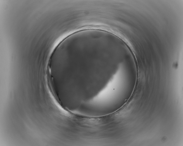 X0000092061533200709121345