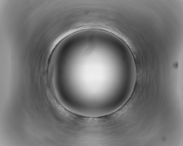 X0000092061534200709121345