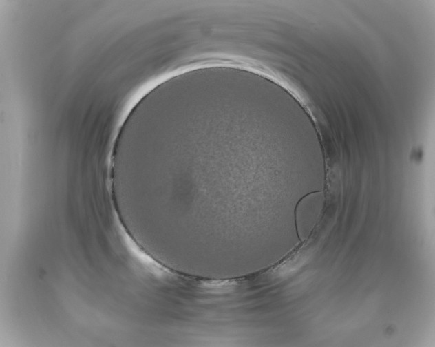 X0000092061535200709121345