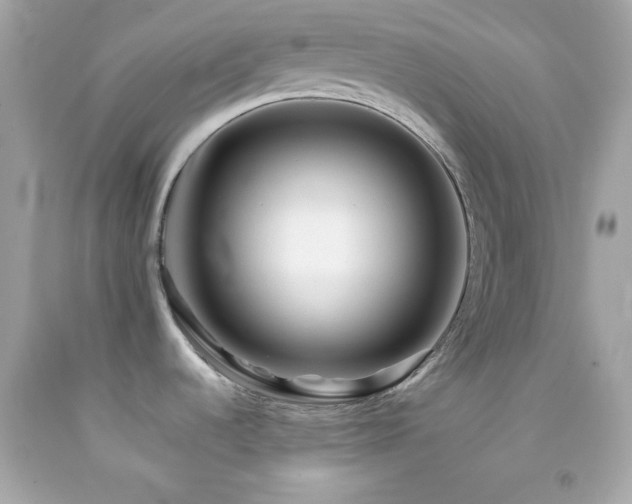 X0000092061536200709121345