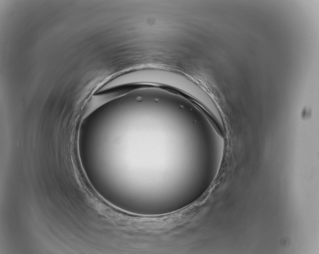 X0000092060001200709191152