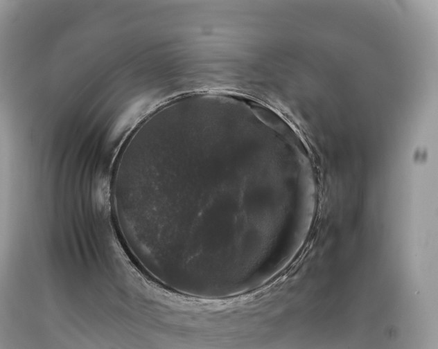 X0000092060002200709191152