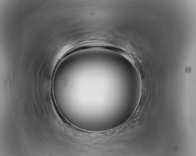 X0000092060003200709191152