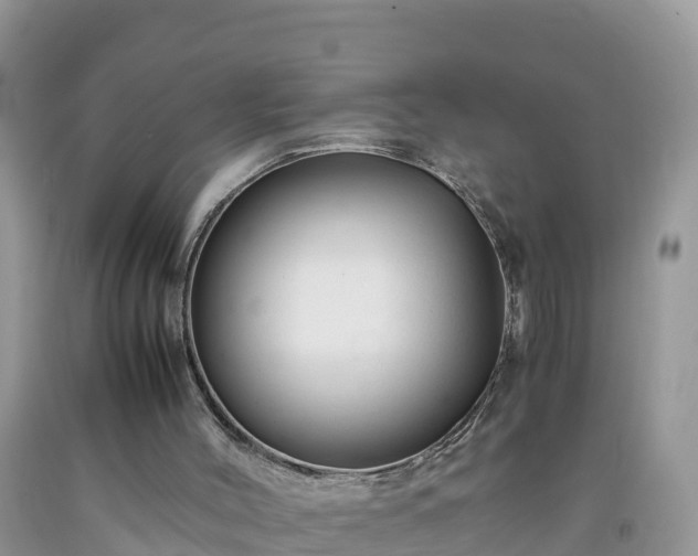 X0000092060004200709191152