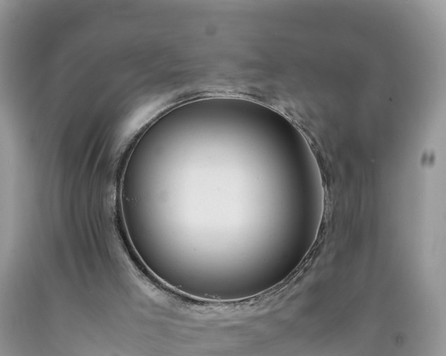 X0000092060005200709191152