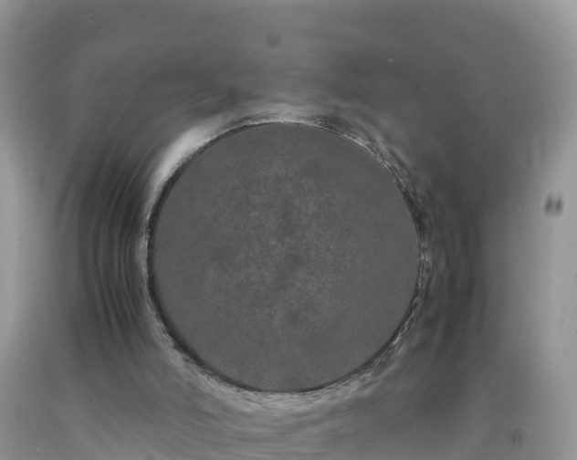 X0000092060006200709191152