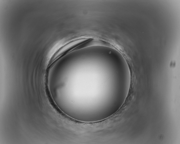 X0000092060007200709191152