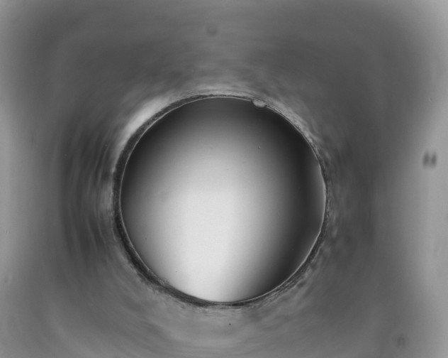 X0000092060008200709191152