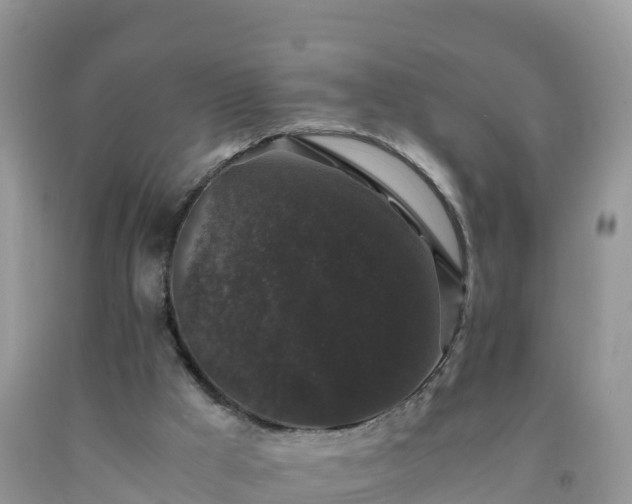 X0000092060009200709191152