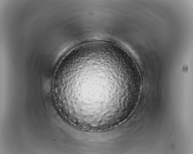 X0000092060010200709191152