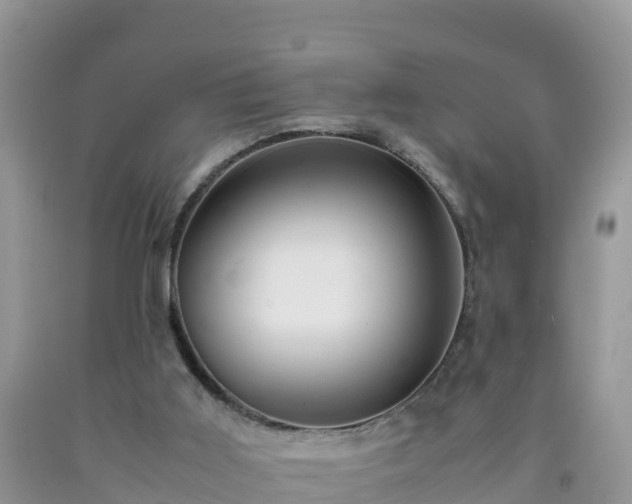 X0000092060011200709191152