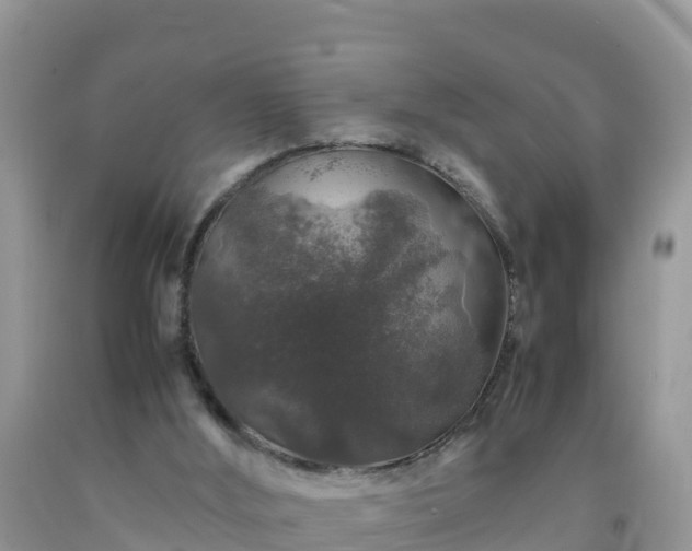 X0000092060012200709191152