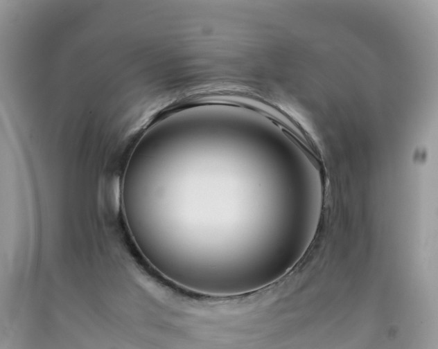 X0000092060013200709191152