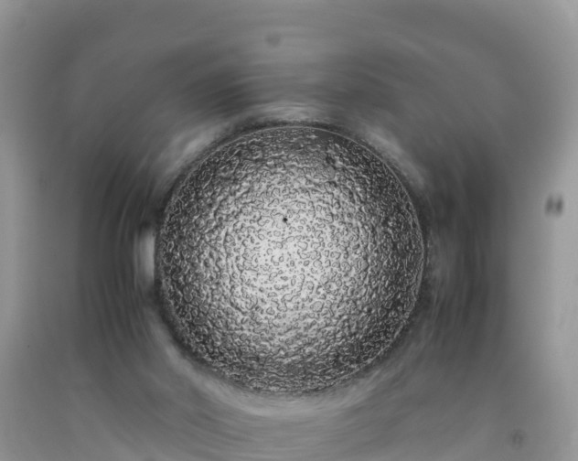 X0000092060014200709191152