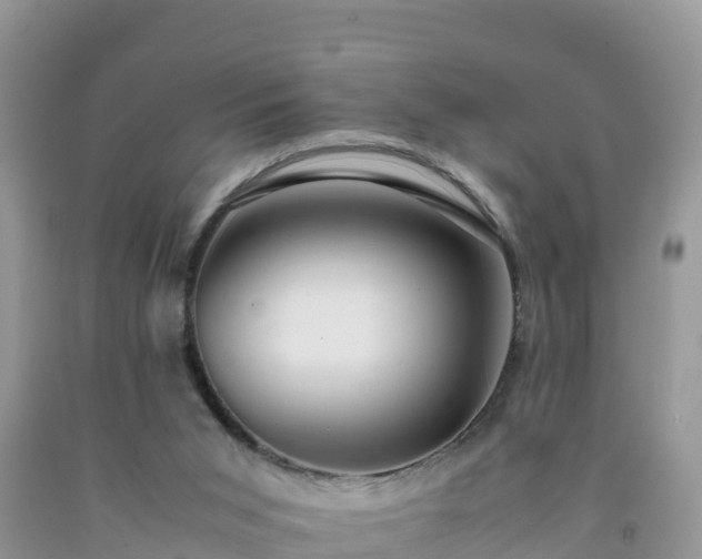 X0000092060015200709191152