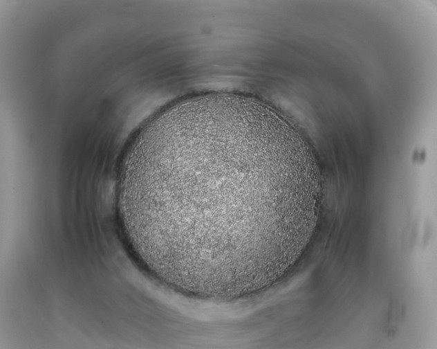 X0000092060016200709191152