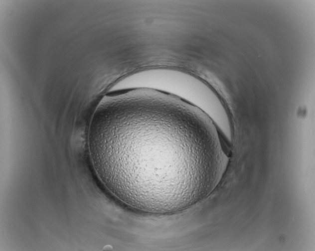 X0000092060017200709191152