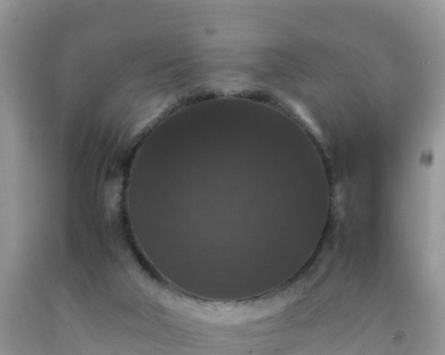 X0000092060018200709191152