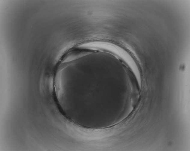 X0000092060019200709191152