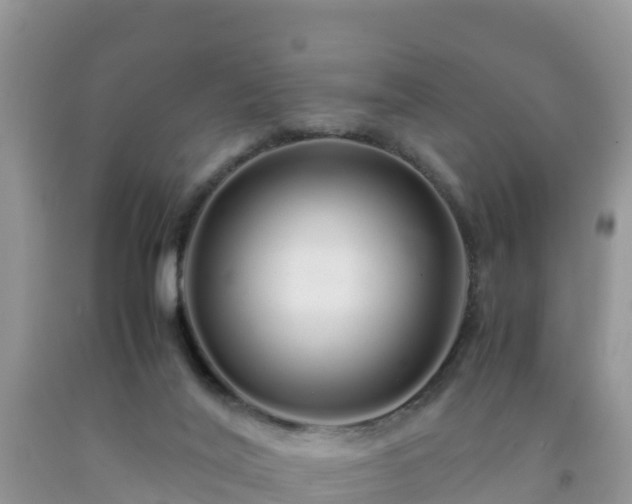 X0000092060020200709191152