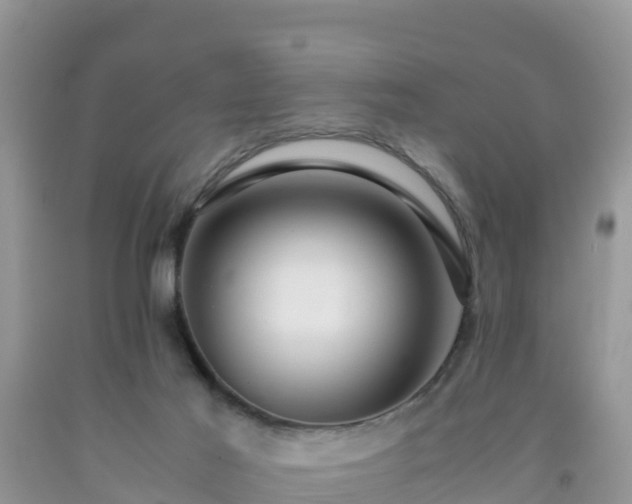 X0000092060021200709191152