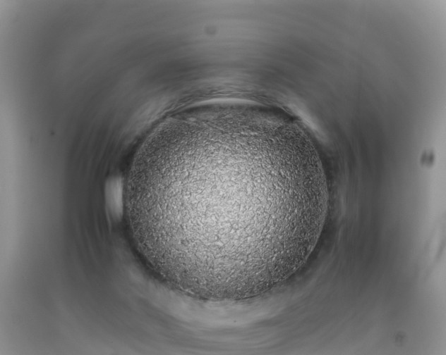 X0000092060022200709191152