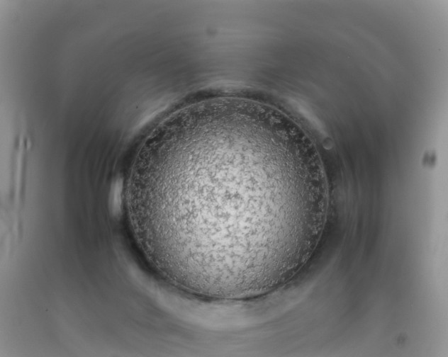 X0000092060024200709191151