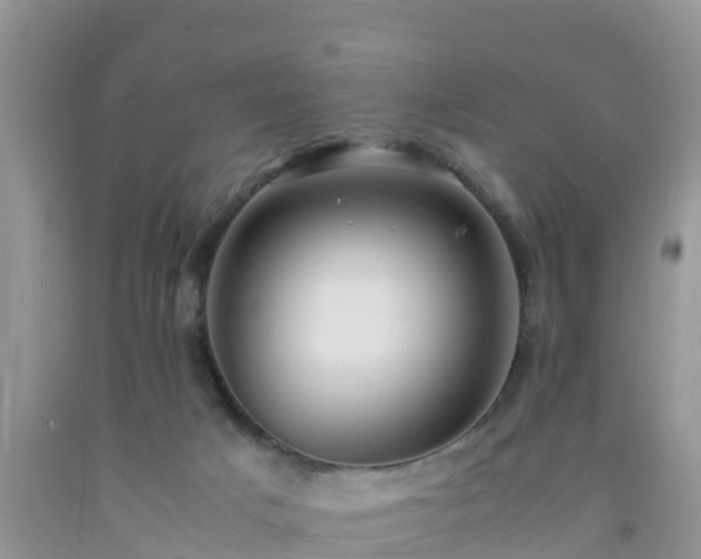 X0000092060025200709191151