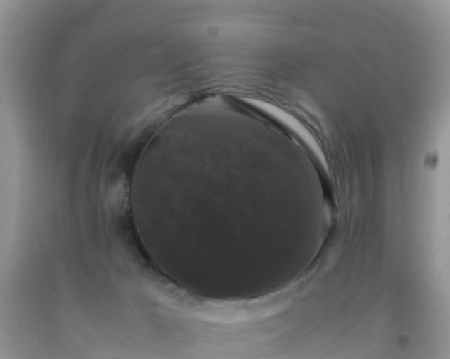 X0000092060029200709191151