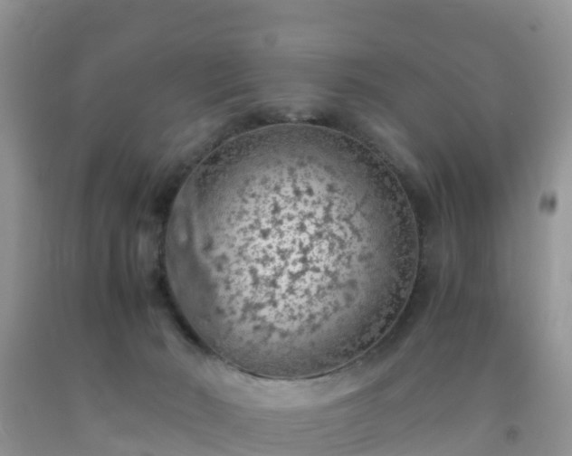 X0000092060030200709191151