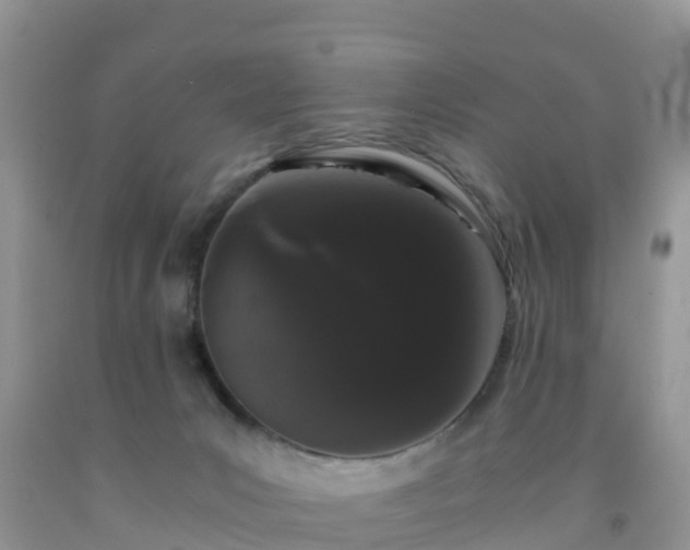 X0000092060031200709191151