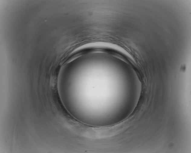 X0000092060033200709191151