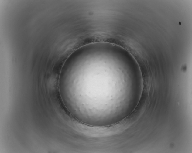 X0000092060034200709191151