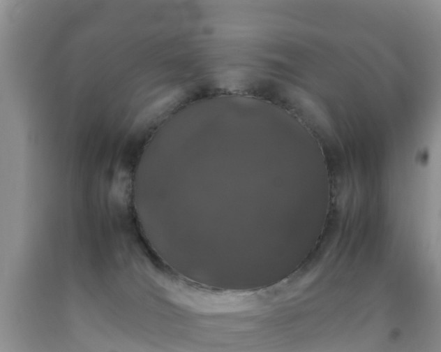 X0000092060036200709191151