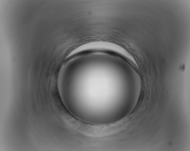 X0000092060037200709191151