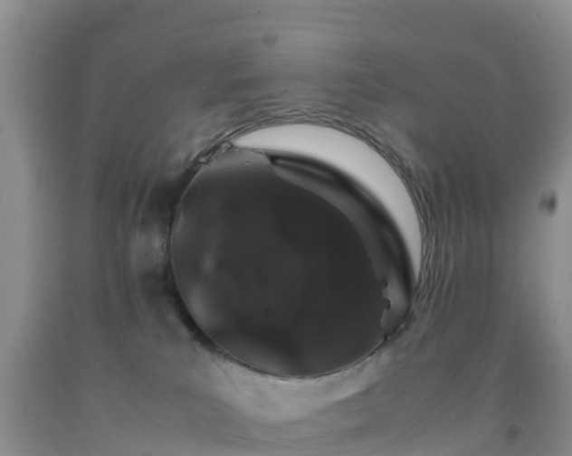 X0000092060039200709191151