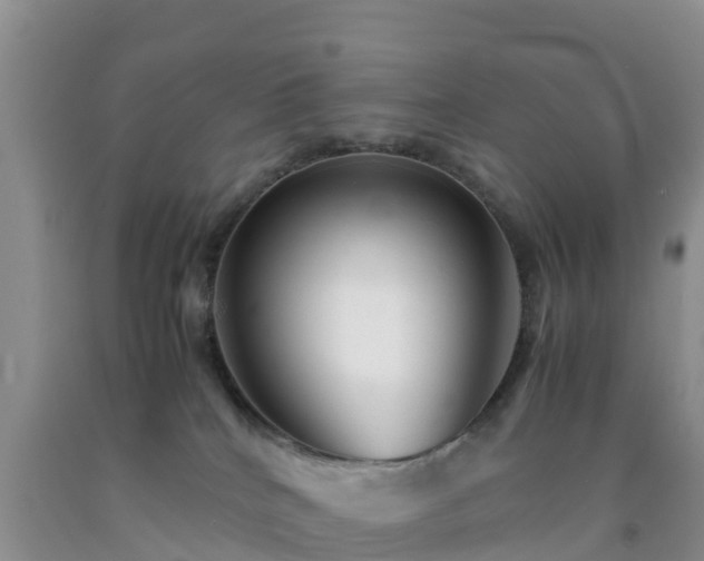 X0000092060040200709191151