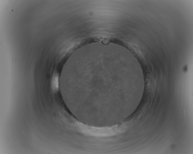 X0000092060042200709191151