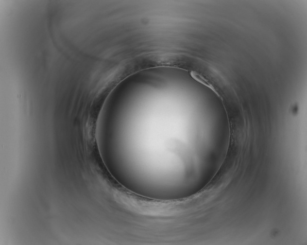 X0000092060044200709191151