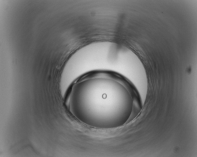 X0000092060045200709191151